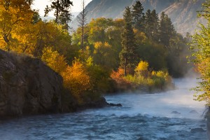 Dawn's Early Flow