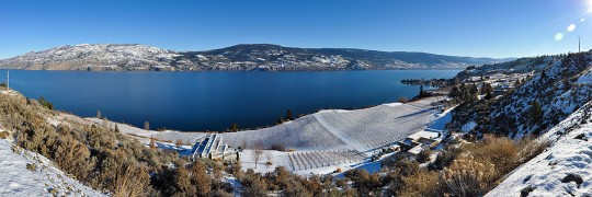 Winter Scenes